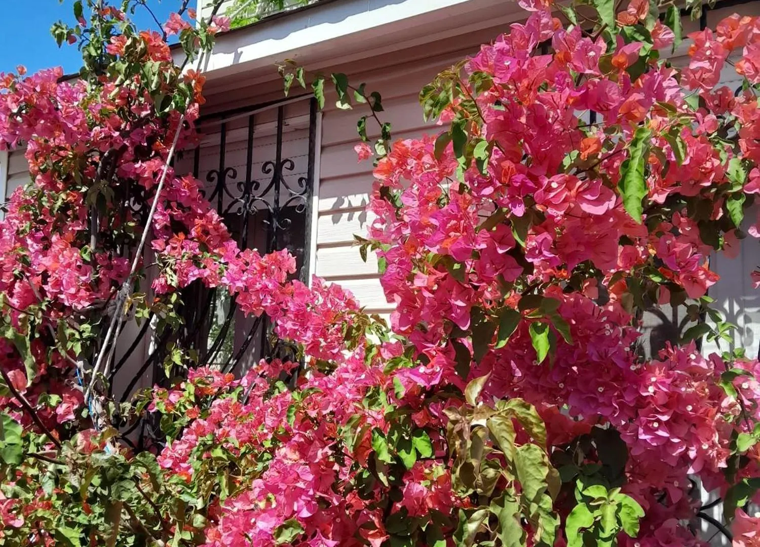 Villa Inci Çeşme